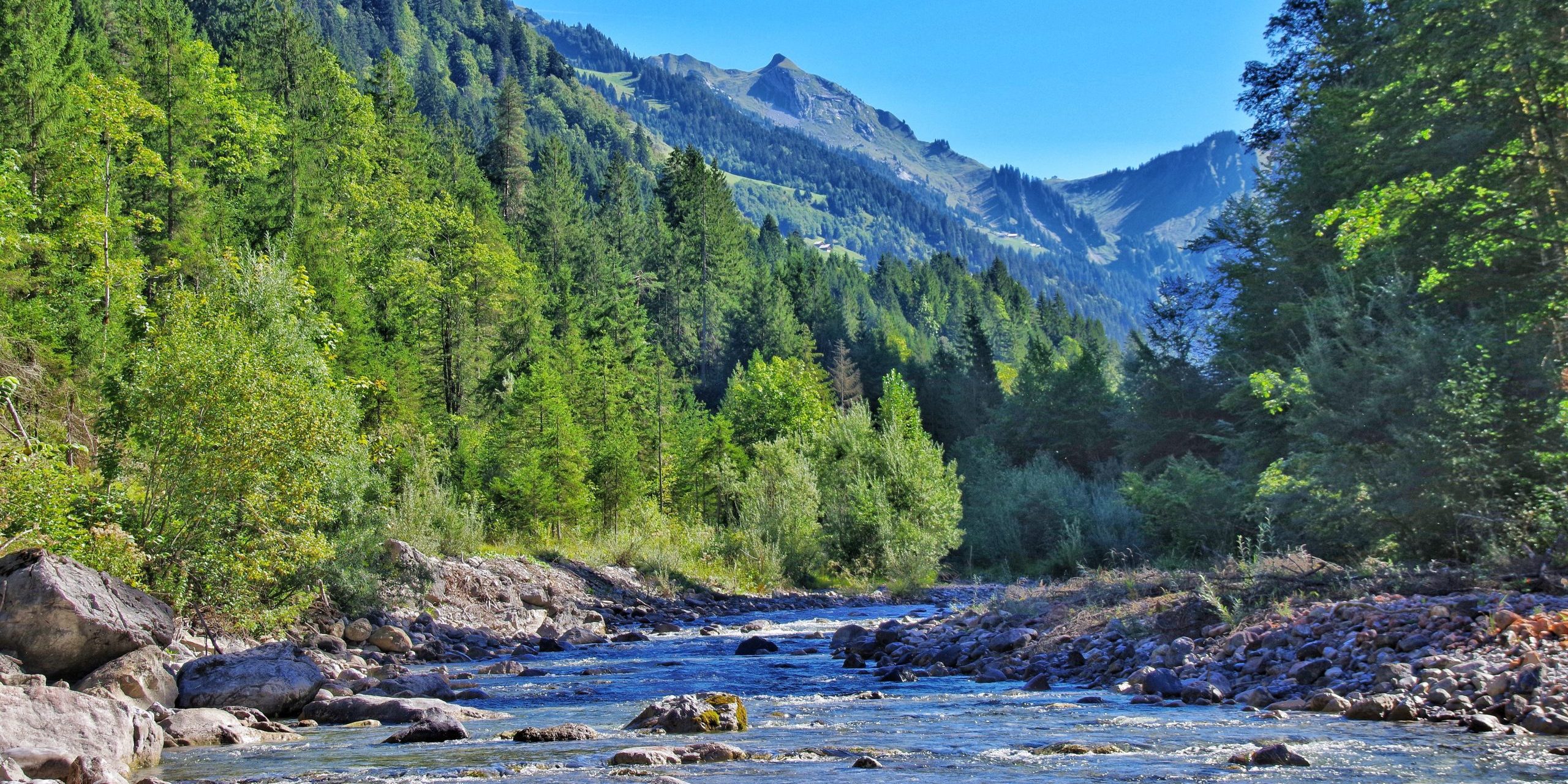 Leader Development Assessment Development for Conservation | Annual Giving Leaders